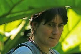 Campanulaceae family