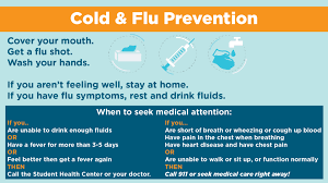 Cold Flu Prevention Center For Health Education Wellness