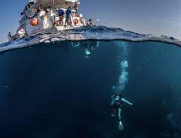 10 Things You Must Know Before Starting A Career As An Underwater  Photographer | Mozaik Uw