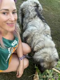 My pup and I went for a walk and gathered wild flowers and herbs for the  ladies. They're enjoying their chicknic summer salad. All foraged from  nature, cut into small pieces for