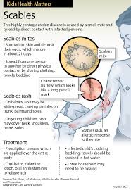 Image result for scabies effects on the human body