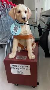 This is kosan, the cute and adorable puppy that gjk will be supporting over the next 14 . Guide Dogs Victoria Linkedin