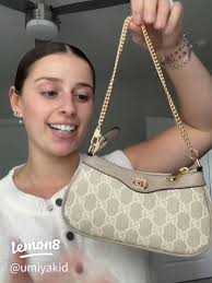 What are the Best Alternatives to the Puffy Bag?