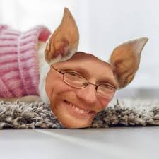 Damian Duffy Hates Everything Forever • A podcast