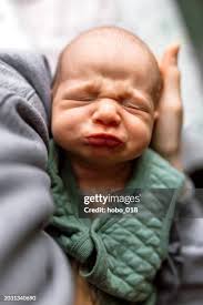 3,080 Overhead View Hug Stock Photos, High-Res Pictures, and Images