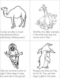 Happening or occurring during daylight, or primarily active during that time. Nocturnal Animals Lesson Plans Worksheets Lesson Planet