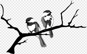 Gambar flora dan fauna burung. Paruh Burung Pemangsa Flora Fauna Burung Putih Hewan Cabang Png Pngwing