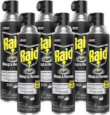 Kills wasps & hornets on contact · ingredients. Buy Raid Wasp Hornet Killer Spray Outdoor Use Defense System To Attack Bugs Kills Wasps Hornets On Contact Kills Entire Nest 17 5 Oz Spray Pack Of 6 Online In Indonesia B07s4mgq9m