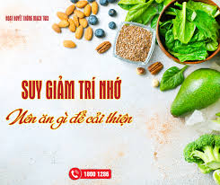 Suy giảm trí nhớ nên ăn gì để cải thiện - FORIPHARM