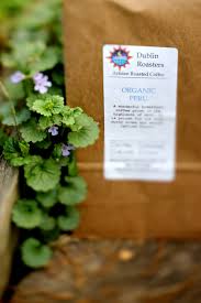 Check if dublinroasterscoffee.com is down or having other coffee shop in frederick, md | dublin roasters. Pin On Riley Images