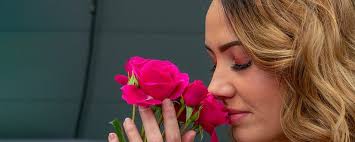 Cryogenizing roses technique. Cryogenizing roses, a fusion of art and…