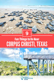 It was founded on march 23, 1912, having been the vicariate apostolic of brownsville until then. 9 Fun Things To Do Near Corpus Christi Texas Family Vacations In Texas Visit Texas Texas Vacations