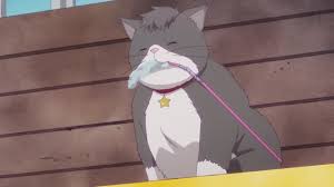Nyanko Big | GamerClick.it
