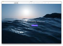 The fotographie wordpress theme packs quite the punch as a highly visual, free theme for photographers of all skill levels. 28 Free Photography Wordpress Themes 2021 Colorlib