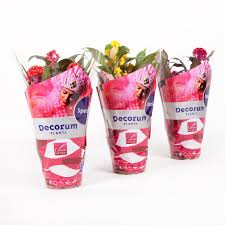 Van Der Windt Packaging Ltd Flower Packaging Packaging Plants