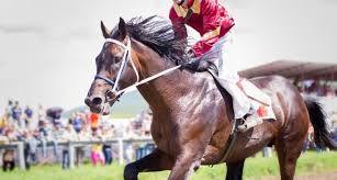 5/1 in bet slip susp. Irish Grand National Betting Offers 2021 Odds Tips