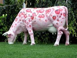 Strawberry Cow Pink Cow Cow Pictures Pink Animals