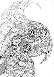 pin on coloring pages nom de page coloriage mitaine
