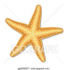 Vector Stock Starfish Stock Clip Art Gg58393271 Gograph Starfish Clip Art Vector Illustration