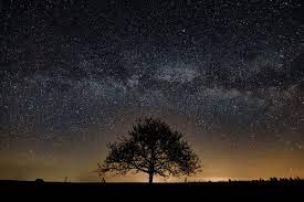 Sirius a and vega, though much brighter, also are dwarf stars; When The Stars Are Out Of Alignment The New York Times