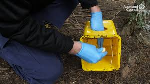 Auckland regional council technical publication tp10 (design guideline manual for stormwater treatment devices) provides guidance for stormwater device design weeds shall be controlled and removed in accordance with the auckland council plant and pest management strategy. How To Become A Pest Trapping Hero Ourauckland