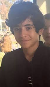 Black 14 Year Old Kids Sister Of 14 Year Old Boy Killed In Florida Church Van Crash Speaks Out We Re Heartbroken People Old Boys Boys 14 Year Old