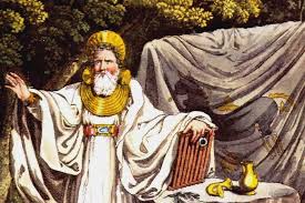 Image result for Ildblomkarse