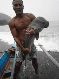 A beloved dugong that went viral in thailand has died with a stomach full of plastic waste, officials announced saturday. Baby Dugong Rescued In The Philippines It Is Also Called A Sea Cow It Is Related To The Manatee Sea Mammal Dugong Marine Conservation