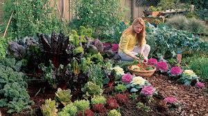 Maybe you would like to learn more about one of these? Your Cool Season Kitchen Garden Sunset Magazine