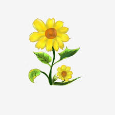 Sekarang banyak manusia kehilangan rasa. Gambar Bunga Matahari Kecil Yang Dilukis Dengan Tangan Tersedia Secara Komersial Clipart Bunga Matahari Bunga Matahari Lukisan Tangan Png Transparan Clipart Dan File Psd Untuk Unduh Gratis