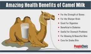 Some experts cite properties that they say may help fight a number of diseases, including diabetes, cancer, shingles and autism. Pin On Amazing Benefits Of Camel Milk
