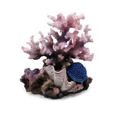 Beli cn akuarium dipimpin karang tumbuh langsung dari cn pabrik di alibaba.com. Jual Fishland Hiasan Akuarium Batu Karang Clam Original Ace