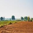 Agricultural Land