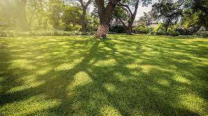 Wie alle pflanzen benötigt auch rollrasen sonnenstrahlen zur photosynthese. Rasenverlegung