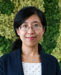 Temporal Network Prediction and Interpretation