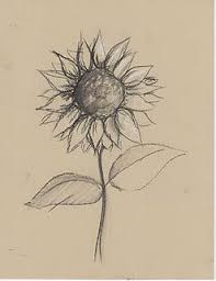 Creator S Joy Sunflower Still Life Drawing Lesson Pencil Drawings Of Flowers Life Drawing Still Life Drawing