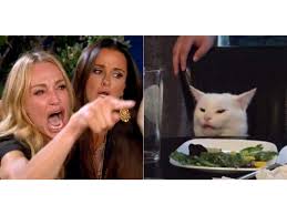 Funny, rude, naughty and nice. Woman Yelling At Cat How Smudge The Cat Became The Best Meme Of 2019 Business Insider