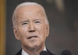 The pilot makes an emergency landing