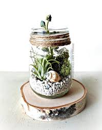 Tillandsia Terrarium Kit Mason Jar Kit Air Plants Terrarium Gift Set Diy Starter Kit Gift Fo Air Plant Terrarium Tillandsia Terrarium Terrariums Kits