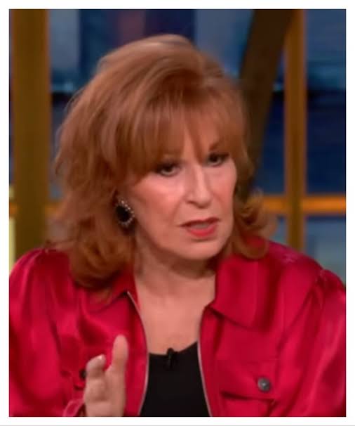 Joy Behar's Candid Confession on The View: What Happened When She Bumped  Into Her Ex? - TV Fanatic