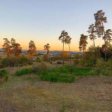 Mtb Feierabend Runde Iphonexsmax Rideonbike Mountainbike Mtb Cycling Allmountain Mtbtrails Mtblife Cyclinglife Mtbtra Mtb Trails Giant Bikes Outdoor