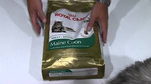 1.5 what we like about this cat food. Royal Canin Maine Coon Cat Food Review Youtube