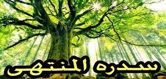 التوكل على الله والإخلاص له وحده.هو الشفاء من كل مكروه أوأي علة وهو فوز عظيم في الدنياوالآخرة.أما نبات السدرة فهو مخلوق مثل باقي المخلوقات له فوائد كثيرة أثبتها العلم. Ù…Ø¹Ù„ÙˆÙ…Ø§Øª Ø¹Ù† Ø³Ø¯Ø±Ø© Ø§Ù„Ù…Ù†ØªÙ‡Ù‰ ÙˆØ£ÙŠÙ† ØªÙ‚Ø¹ Ù…Ù‚Ø§Ù„