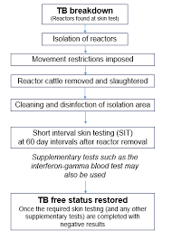 what happens when tb is suspected or confirmed in a cattle