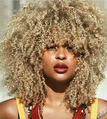 Select from premium bleached hair of the highest quality. How To Bleach Your Hair At Home On A Budget Nique S Beauty Blonde Natural Hair Dyed Natural Hair Colored Curly Hair