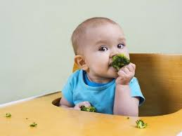 Makanan untuk bayi tumbuh gigi lainnya adalah telur ayam rebus. Cegah Gtm Ini 8 Sayur Dan Buah Yang Ramah Untuk Bayi Tumbuh Gigi
