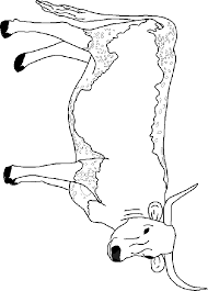 Coloring Page Cow Coloring Pages 22 Cow Coloring Pages Animal Coloring Pages Cow Colour