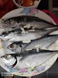 Air asam tomato utagha cicah daging ikan dan lain2 senangnya. Ikan Kukus Air Asam Resepi Ikan Kembung Kukus Air Asam Kartel Dakwah Pastu Ikan Yg Dah Siap Kukus Mitzelen