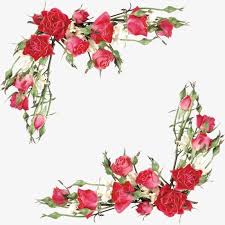 Rose Flowers Red Flower Png And Psd