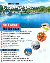 Fly from panama city to puerto obaldia via air panama. Hotel Y Hostal Oleajes Capurgana Photos Facebook